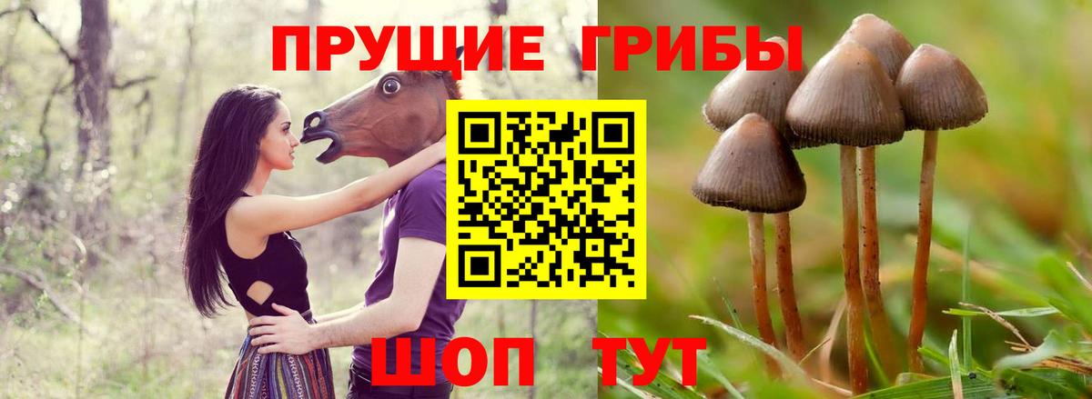 Галлюциногенные грибы ЛСД Боровичи