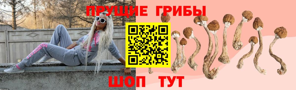 Боровичи  Галлюциногенные грибы GOLDEN TEACHER  Вход с VPN 