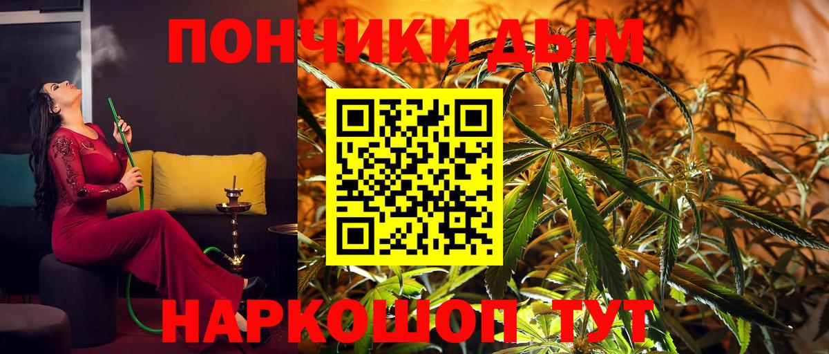 Каннабис план Боровичи
